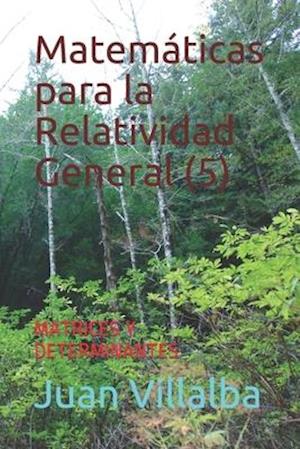 Matemáticas para la Relatividad General (5)