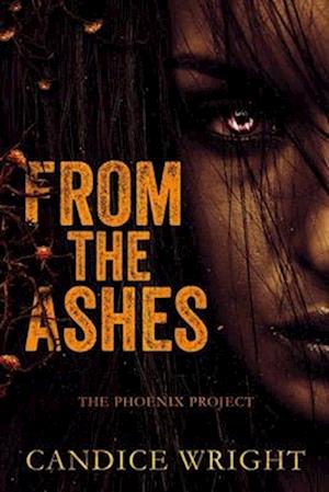 From the Ashes: The Phoenix Project