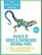 Wildlife of Arches & Canyonlands National Parks