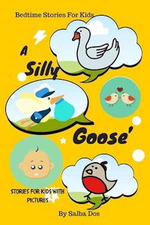 A Silly Goose's