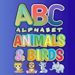 ABC Alphabet Animals & Birds