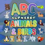 ABC Alphabet Animals And Birds