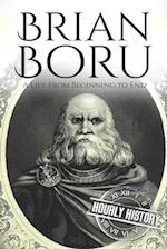 Brian Boru: A Life from Beginning to End 