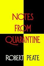 Notes from Quarantine