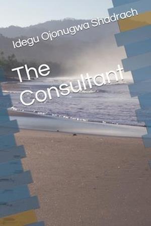 The Consultant