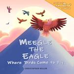 Meegle The Eagle