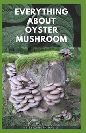 Everything about Oyster Mushroom