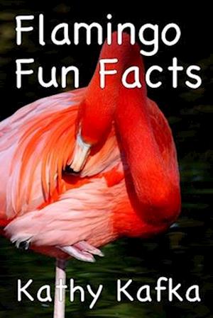 Flamingo Fun Facts