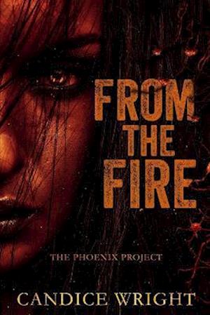 From the Fire: The Phoenix Project