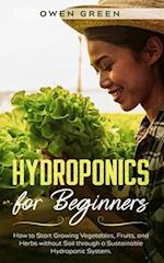 Hydroponics for Beginners