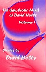 The Gay, Erotic Mind of David Holly, Volume 1