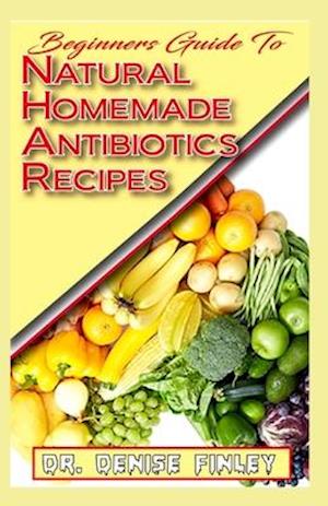 Beginners Guide To Natural Homemade Antibiotics Recipes