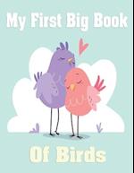 My First Big Book of Birds