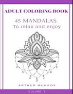 Adult Coloring Book