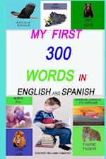 MY FIRST 300 WORDS IN ENGLISH AND SPANISH.: LET'S GET TALKING! (MY FIRST BOOK WITH COLORED IMAGES), ENGLISH EDITION 