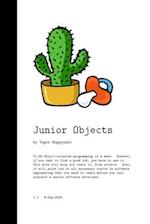 Junior Objects