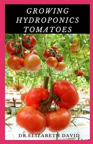 Growing Hydroponics Tomatoes