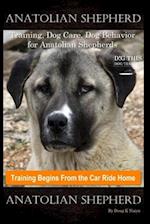 Anatolian Shepherd Training, Dog Care, Dog Behavior, for Anatolian Shepherds By D!G THIS DOG Training, Training Begins From the Car Ride Home, Anatoli