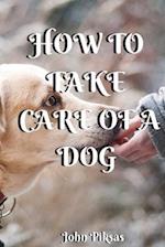 How to Take Care of a Dog