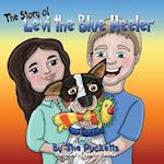 The Story Of Levi The Blue Heeler