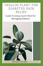 Insulin Plant for Diabetes Pain Relief