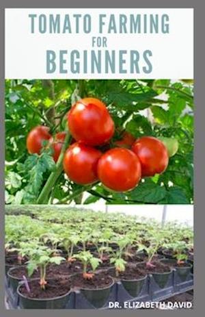 Tomato Farming for Beginners