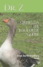 Griselda the Toulouse Goose