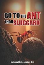 Go To The Ant Thou Sluggard