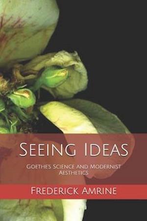 Seeing Ideas