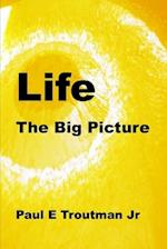 Life: The Big Picture 