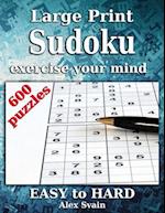 Large Print Sudoku