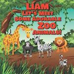 Liam Let's Meet Some Adorable Zoo Animals!