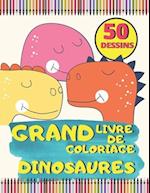 Grand Livre de Coloriage Dinosaures 50 Dessins