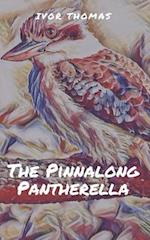 The Pinnalong Pantherella