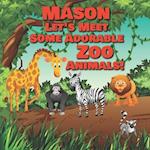 Mason Let's Meet Some Adorable Zoo Animals!