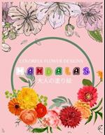 Colorful Flower MANDALAS &#22823;&#20154;&#12398;&#22615;&#12426;&#32117;