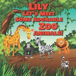 Lily Let's Meet Some Adorable Zoo Animals!