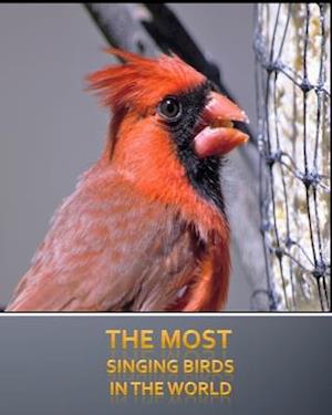 The most singing birds in the world