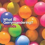 What is Gerrymandering?