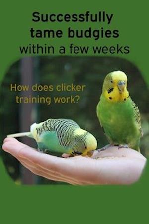 Successfully tame budgies within a few weeks: How does clicker training birds with budgerigars work? A step-by-step guide for budgies taming and parak