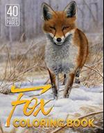 Fox Coloring Book