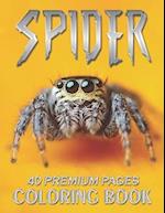 Spider Coloring Book