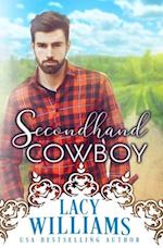 Secondhand Cowboy