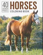 Horses Coloring Book