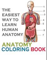 The Easiest Way To Learn Human Anatomy