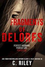 Fragments of Delores: a new romantic suspense from the author of 'Beautiful Victim' 