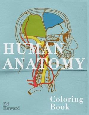 Human Anatomy Coloring Book