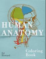 Human Anatomy Coloring Book