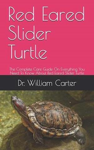 Red Eared Slider Turtle