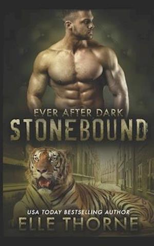 Stonebound: Ever After Dark